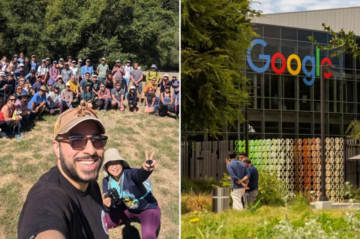 Silicon Valley techies go from $350K salaries to begging for jobs