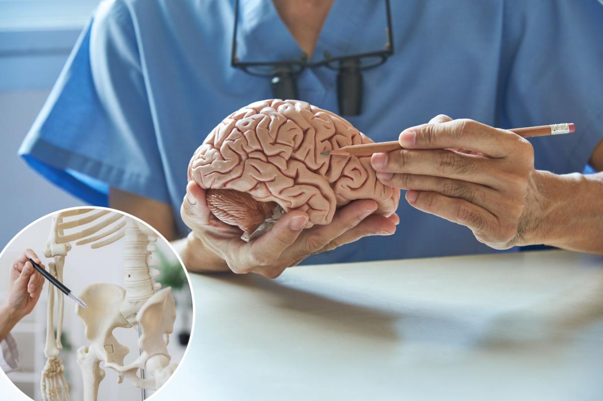 A surprising red flag in your bones could signal future brain decline