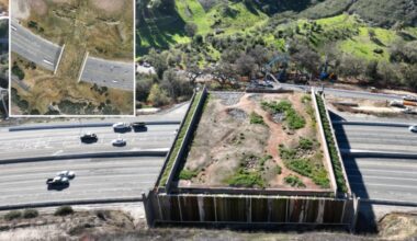 $114M California wildlife crossing to track animal happiness