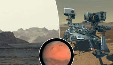 NASA rover captures stunning shot of Mars at dawn