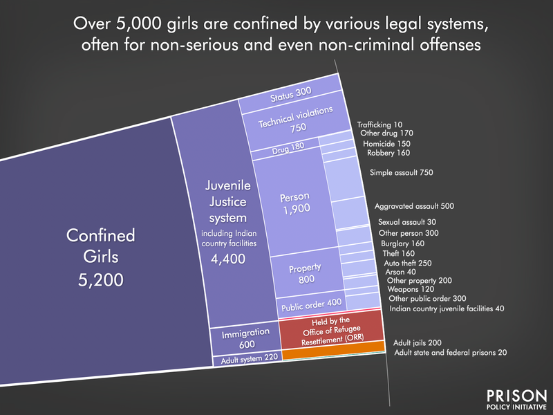 detail image of the youth confinement slice of the women's whole pie showing the offenses for which girls are held in juvenile facilities