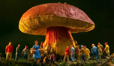 This mysterious mushroom makes people see hundreds of tiny humans
