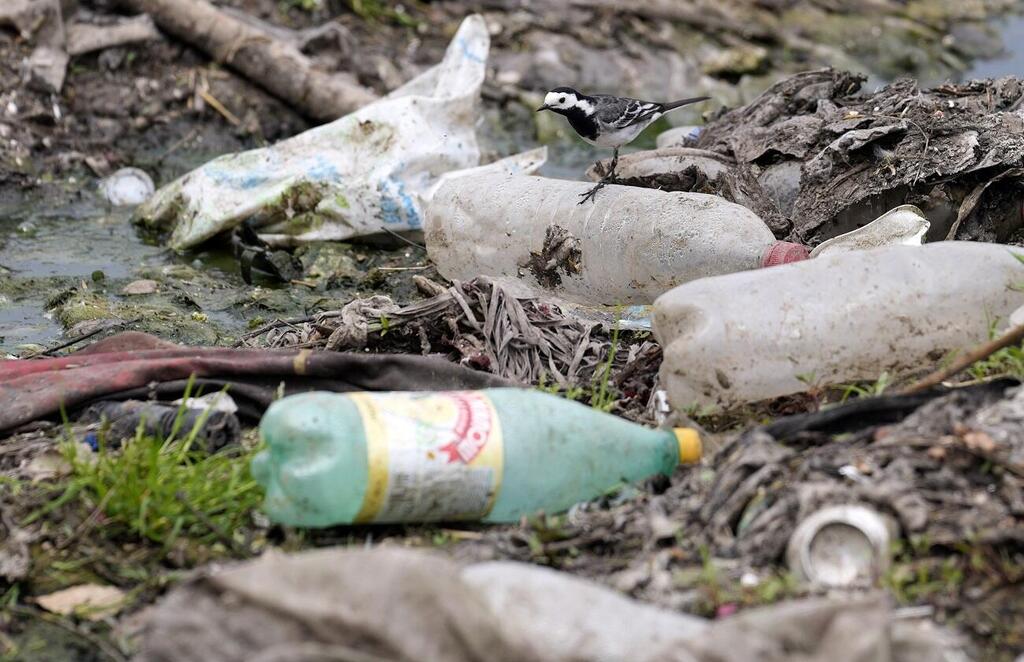 Plastic pollution in the Danube River in Serbia (Photo: Darko Vojinovic, AP) זיהום פלסטיק בנהר הדנובה בסרביה