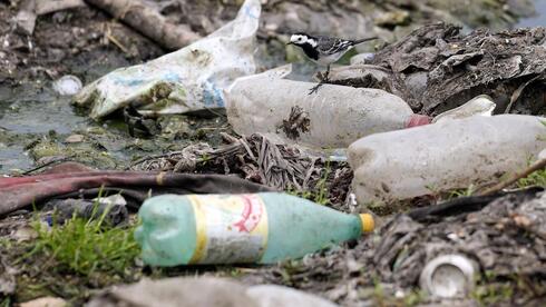 Trash for cash: Israel enters the plastic credit market, but will it reduce pollution