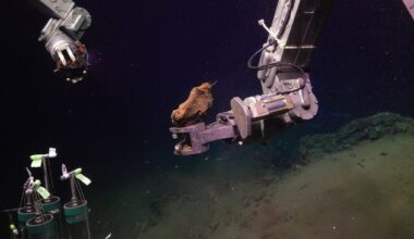 Deep-Sea Rocks Spontaneously Combusted After Scientists Brought Them to the Surface