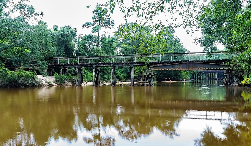The Tammany Trace path along the Bogue Falaya River in Covington, Louisiana