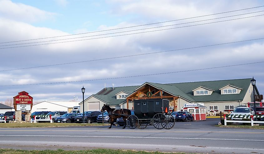A horse and buggy in Shipshewana, Indiana, in Amish country.