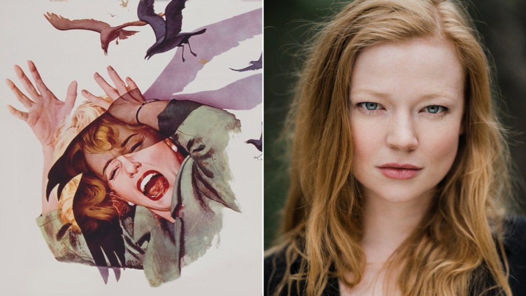 'The Birds' Limited Series With Sarah Snook Lands At HBO (Exclusive)
