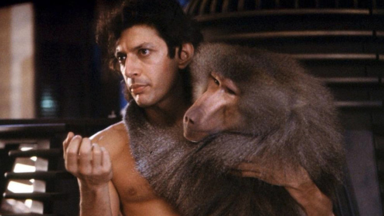 Jeff Goldblum as Seth Brundle in The Fly, holding a baboon in the lab