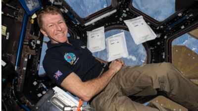 In 2015, 2kg of rocket seeds went to the space station; after their return, 600,000 UK children helped test them, and researchers found they grew more slowly but remained viable