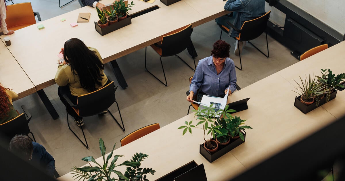 UK government employment status reforms could reshape self-employment engagements