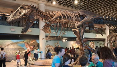 Philadelphia’s Academy of Natural Sciences closes after nearly 200 years : NPR