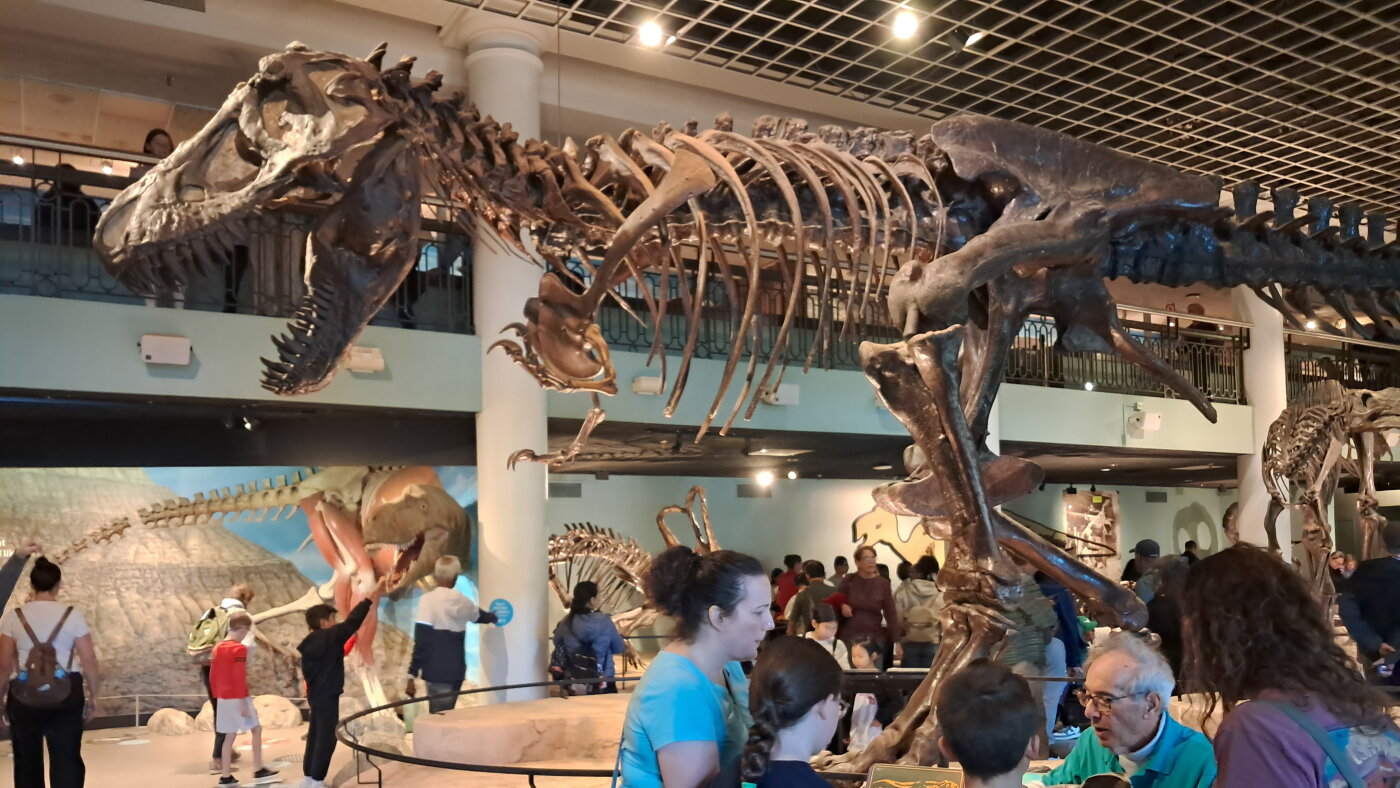 Philadelphia’s Academy of Natural Sciences closes after nearly 200 years : NPR