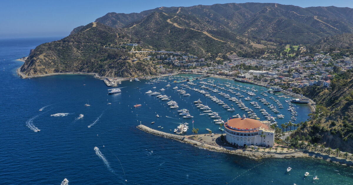 'People screaming for help': Details of Catalina copter crash emerge