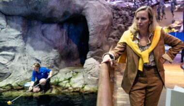 Five beluga whales have died at Shedd since Aug. 25, but CEO Bridget Coughlin says this is no crisis