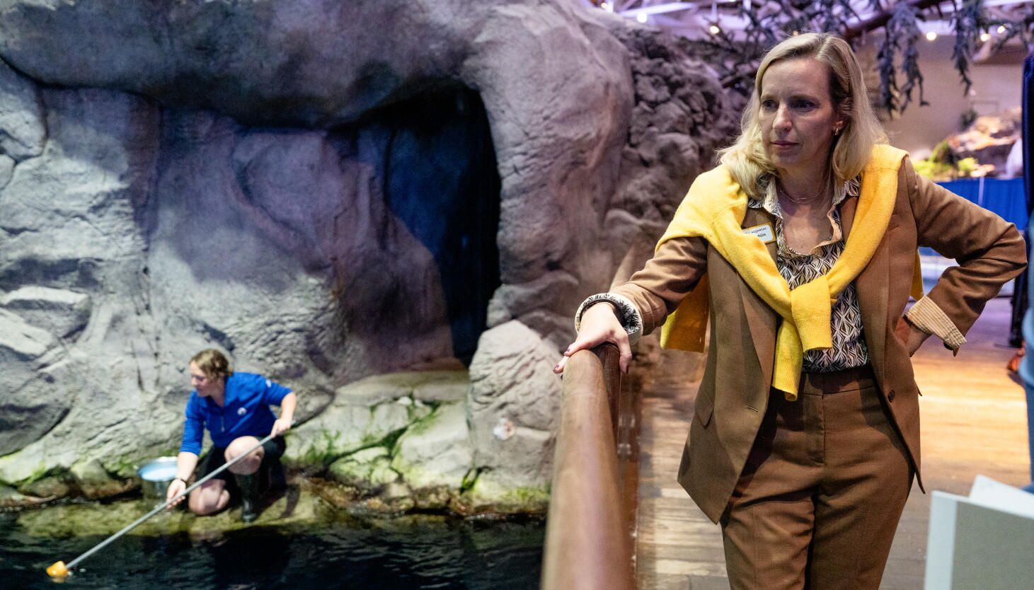 Five beluga whales have died at Shedd since Aug. 25, but CEO Bridget Coughlin says this is no crisis