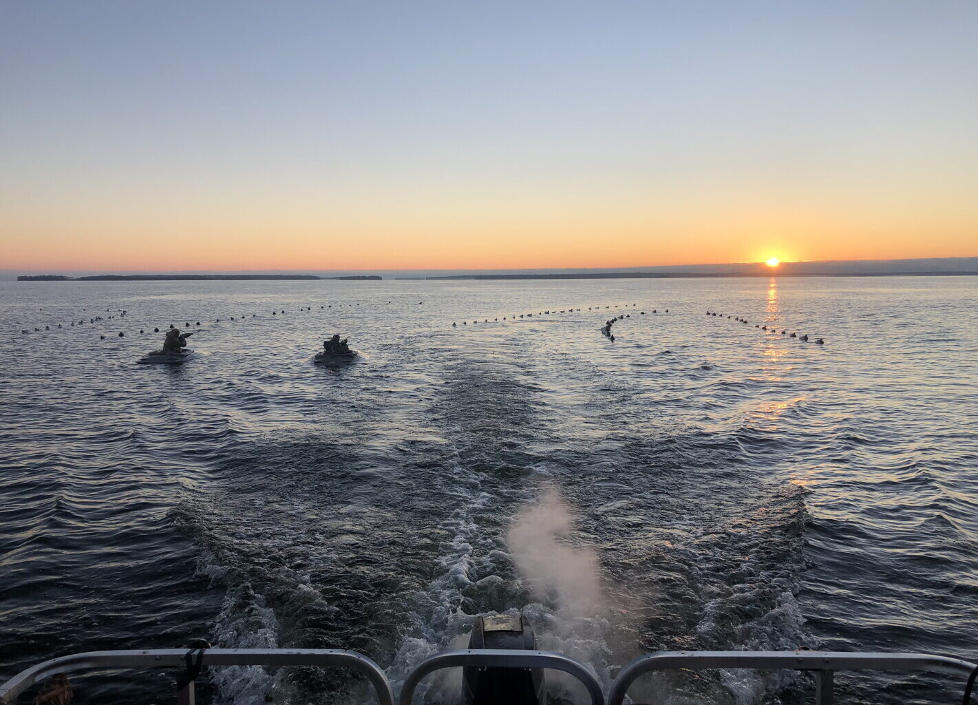 Guides in Minnesota's Northwest Angle provide unique way to harvest ducks - Grand Forks Herald