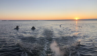Guides in Minnesota's Northwest Angle provide unique way to harvest ducks - Grand Forks Herald
