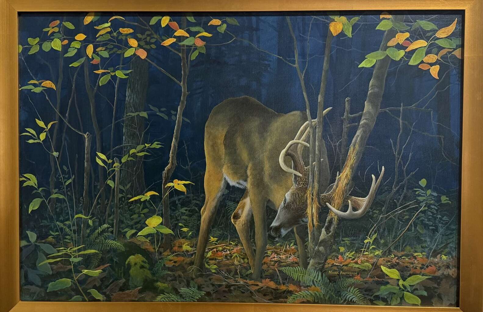 Butler Art Center’s Nature and Wildlife gallery attracts new submissions – Butler Eagle