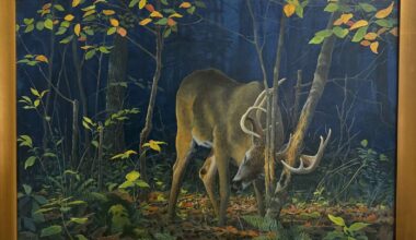 Butler Art Center’s Nature and Wildlife gallery attracts new submissions – Butler Eagle