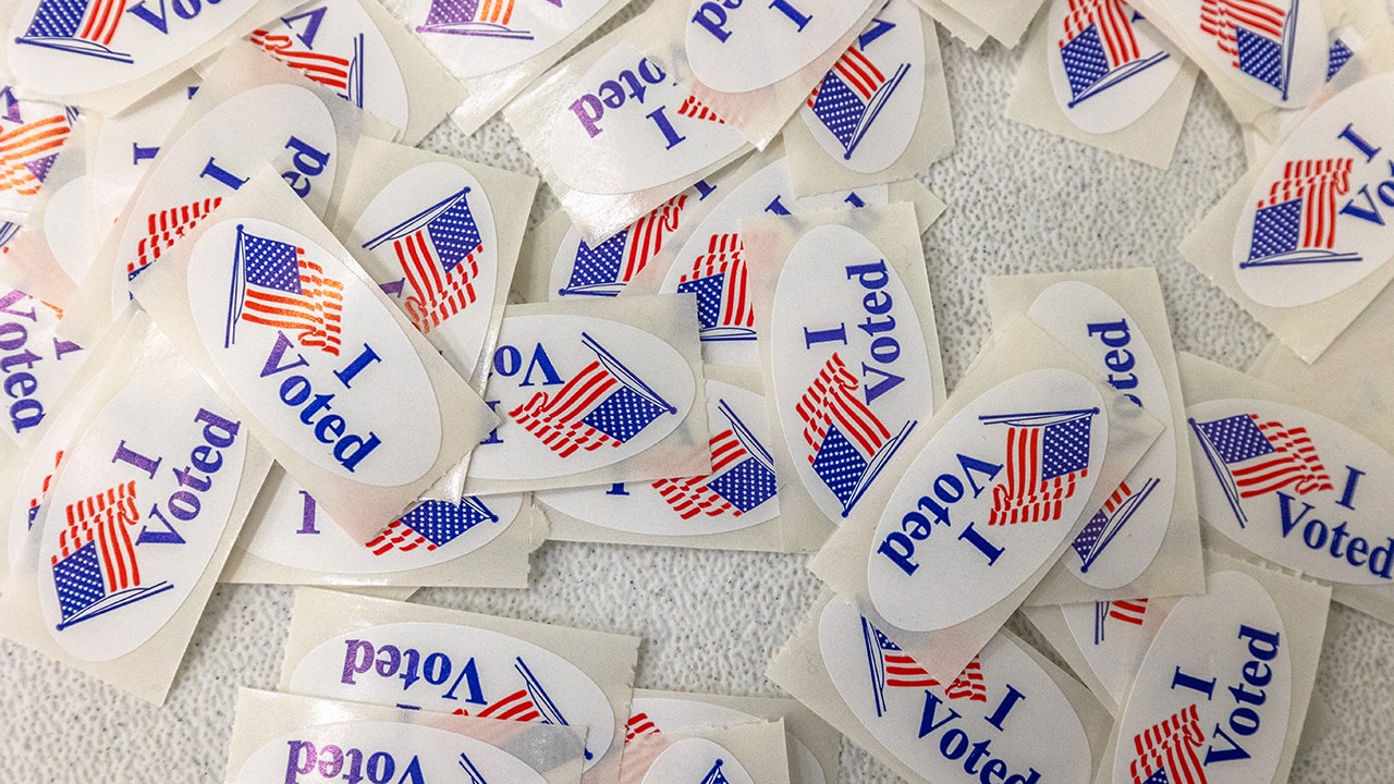 Anthropic's Claude AI accessed Georgia voter data