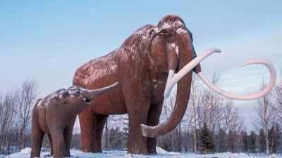 Using AI models, scientists are trying to do a Jurassic Park; bring back to Earth extinct Grey Wolf pups and Woolly mammoths