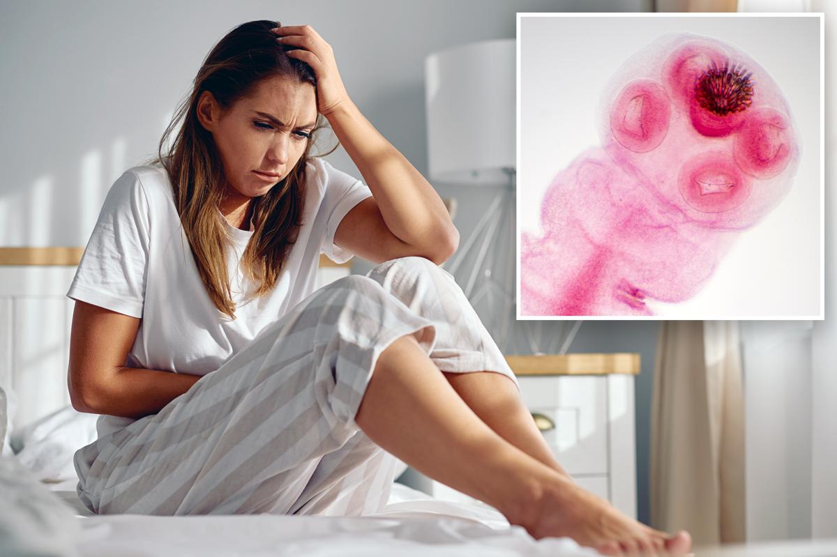 Tapeworm drug could treat disease that affects 190 million women