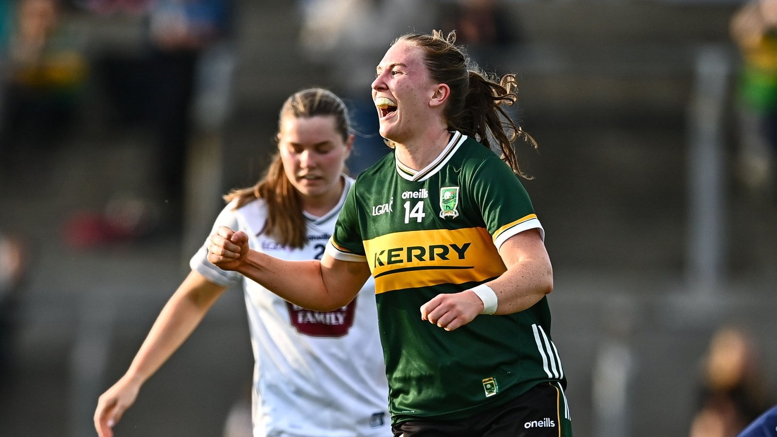 All you need to know