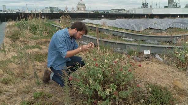 a person kneeling in a field
