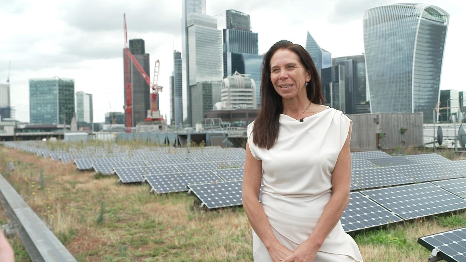 'Green roofs' thrive as London struggles with heatwaves