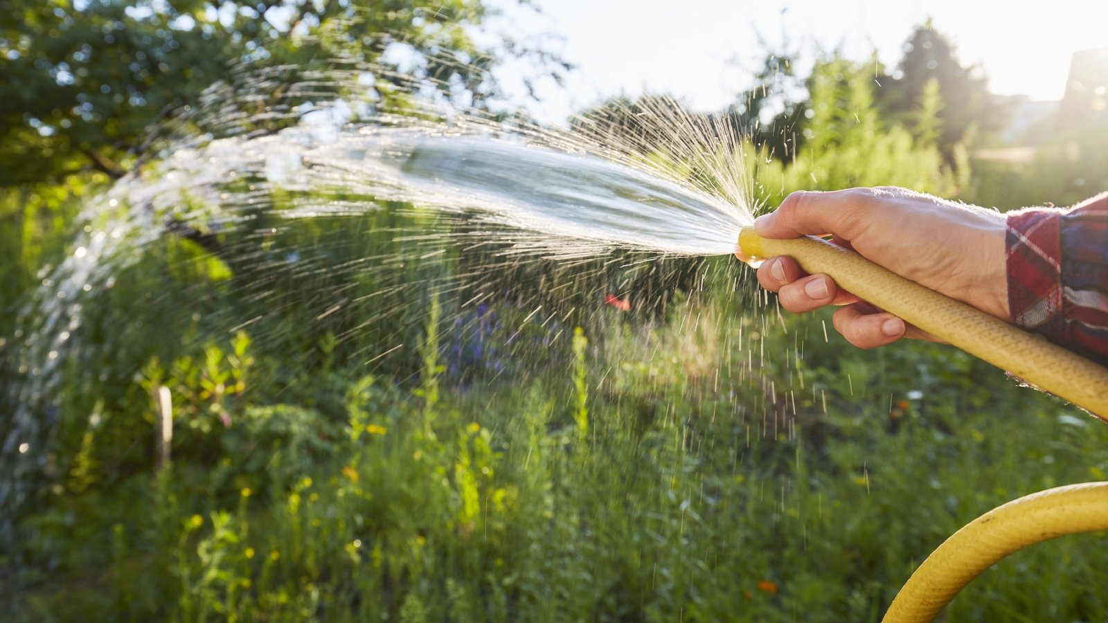 Hosepipe ban extended in south and southeast