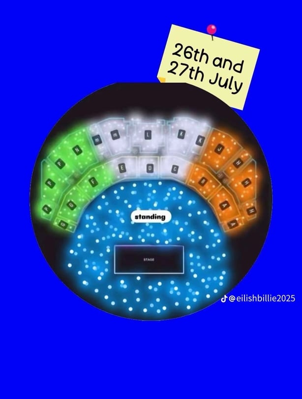 Image shows planned fan project for Billie Eilish 