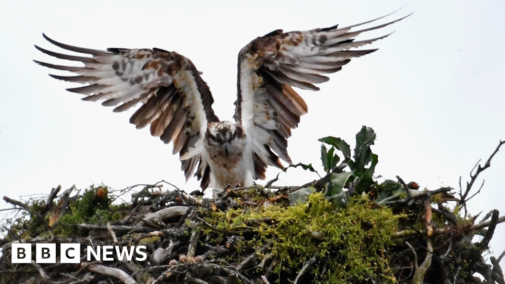 Green Man festival project site Gilestone Farm loses £500,000 in value