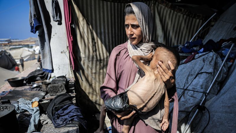 Gaza aid crisis: Why Gazans are dying of hunger or being killed by Israel on a near daily basis