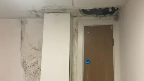 Michael Jones The image shows damp and mould on the walls of a corridor, with a hole in the space above a riser door. 