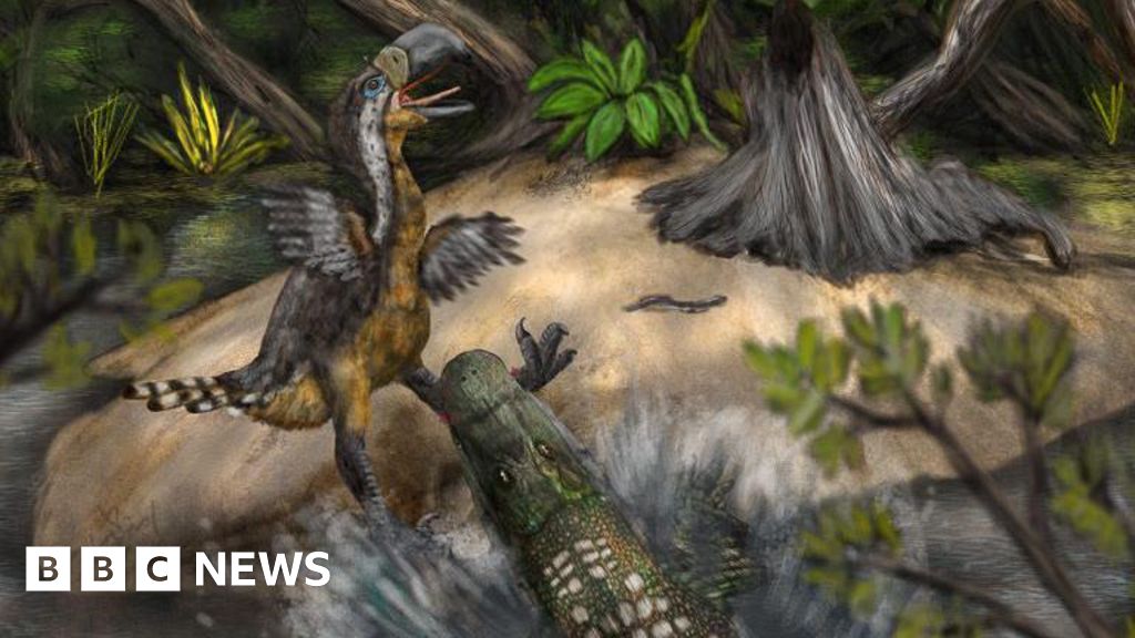 Teeth marks suggest 'terror bird' was killed by reptile 13 million years ago