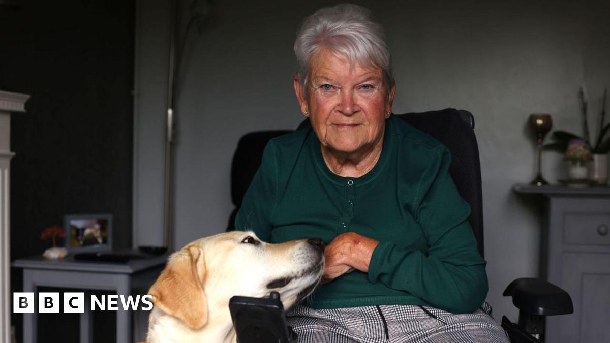 Anne is sitting in her electric wheelchair staring directly into the camera with a slight smile. She is wearing a bottle green cardigan and cheque trousers. Her dos is in the picturee laying it's head on Anne's lap.