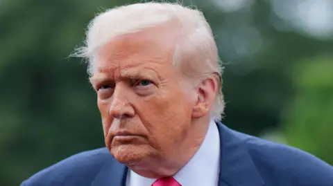 Getty Images Head shot of President Donald Trump. He  has blonde, greying hair combed in a side shed. The President, who is wearing a navy suit jacket, white shirt and pink tie has a serious expression on his face and is looking off the right of the camera. The background is blurred but green in colour. 