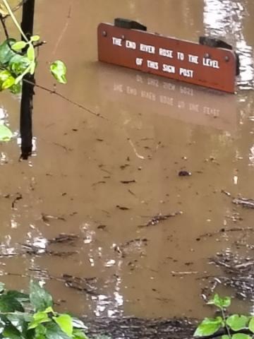 Ken Wynne - Eno River in Durham