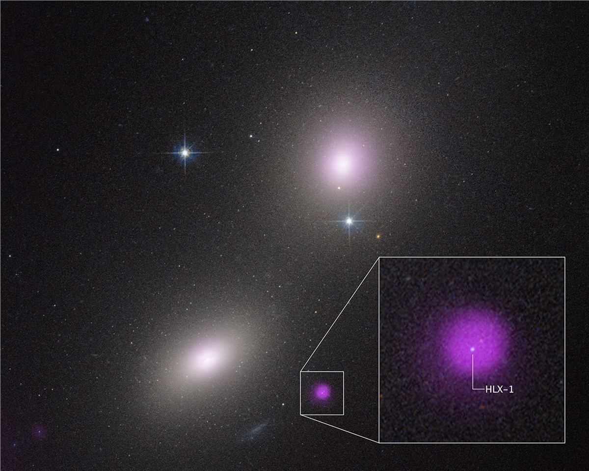 NASA's Hubble, Chandra Spot Rare Type of Black Hole Eating a