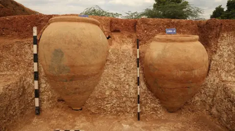 Tamil Nadu State Department of Archaeology Burial urns embedded in the soil at the Kondagai excavation site in Tamil Nadu, India.