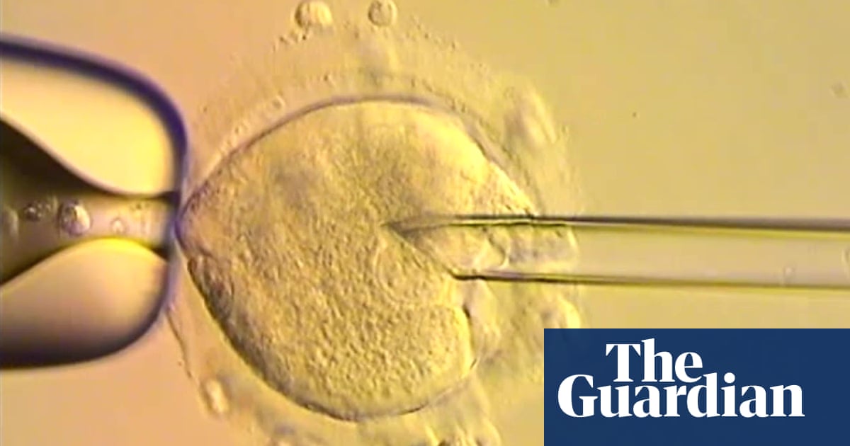 Eight healthy babies born after IVF using DNA from three people | Science