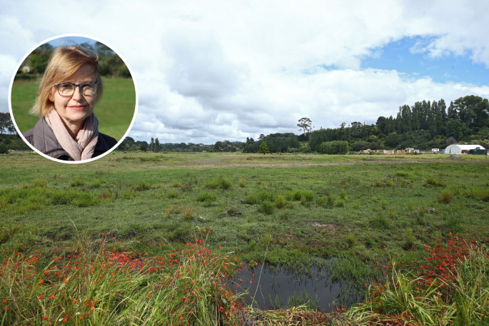 SunLive - Te Puna 'in shock' as industrial park greenlit