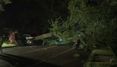 NJ storm death: One fatality reported during severe storms in North Plainfield, New Jersey, mayor says