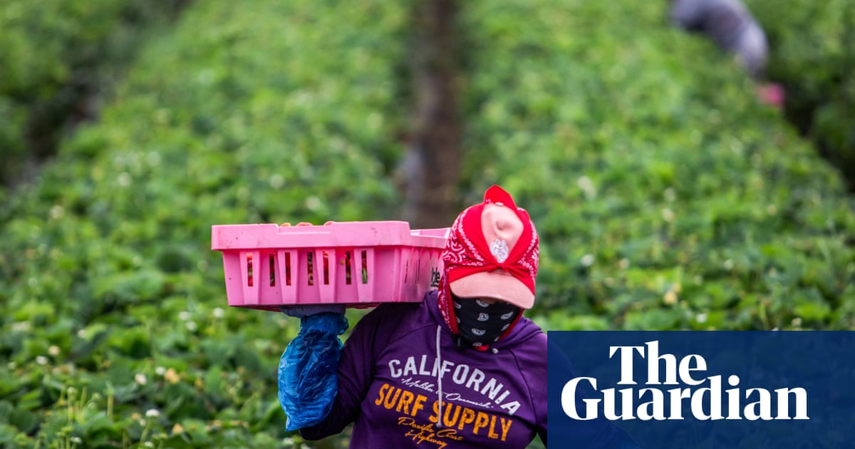 US agriculture secretary says Medicaid recipients can replace deported farm workers | US news