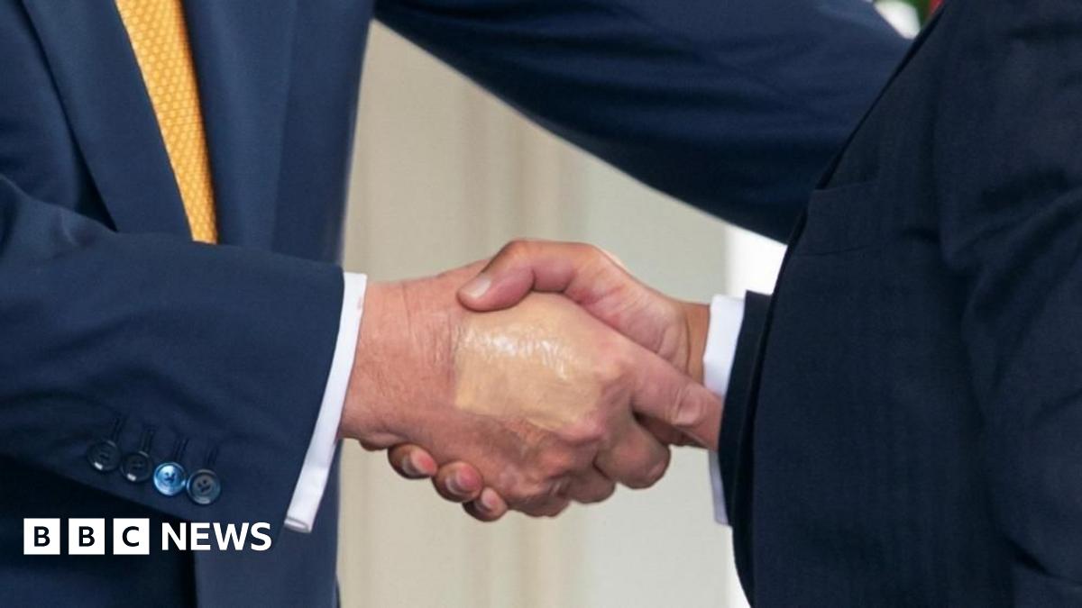 US President Donald Trump (L) greets Bahrain's Prime Minister and Crown Prince Sheikh Salman bin Hamad al-Khalifa with a handshake outside the White House. Trump's hand clearly bears a patch of makeup in a shade that does not match his skin