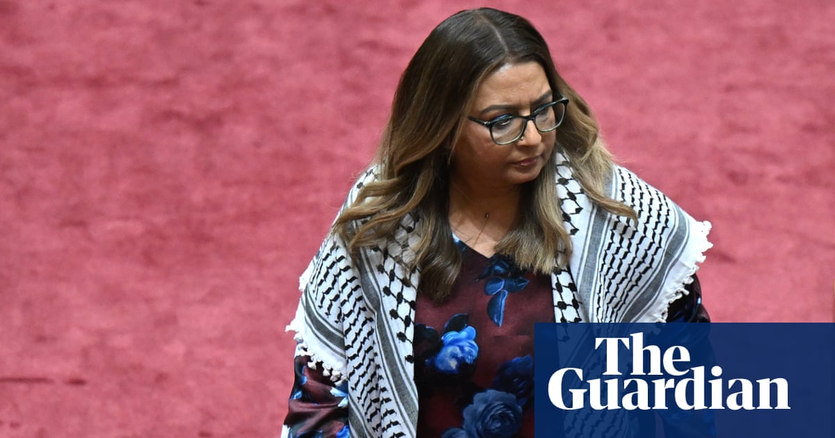 Mehreen Faruqi sanctioned for Gaza sign protest as Greens senator accused of ‘street theatre’ | Australian politics