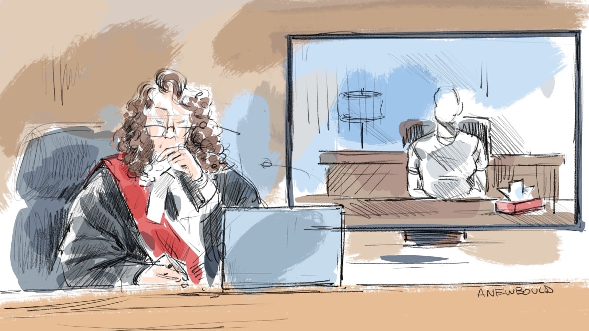 A court sketch shows a witness appears by video during cross-examination. Judge Maria Carroccia is on the left.