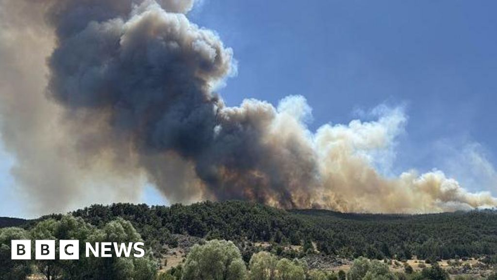 Ten workers killed battling wildfires in Turkey