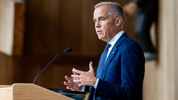 Carney calls Israel denying humanitarian aid in Gaza 'violation of international law' 